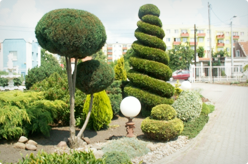 Zakładanie ogrodów