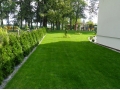 Trawnik z rolki oraz nasadzenia wykonane przez naszą firmę